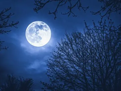 Fall Asleep In 3 Minutes