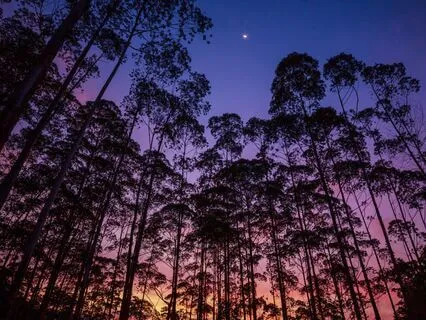 Fall Asleep In Minutes Tonight