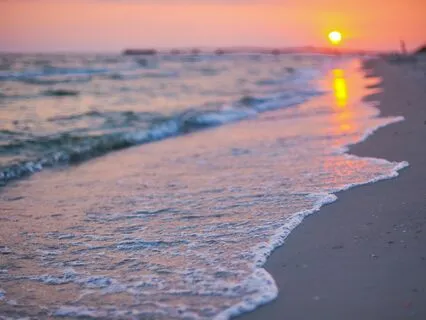 Fall Asleep In Minutes (With Ocean Sounds)