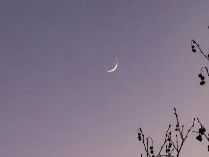 Fall Asleep In Pure Awareness