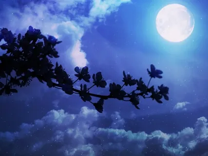 Fall Asleep Naturally: A Guided Visualization by Desi Hall