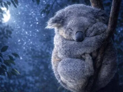 Fall Asleep Now | 8-Hour Music | Peaceful 432Hz