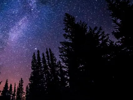 Fall Asleep Quick And Easy