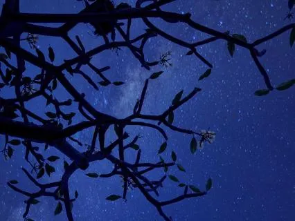 Fall Asleep Quickly: Deep Sleep In Minutes