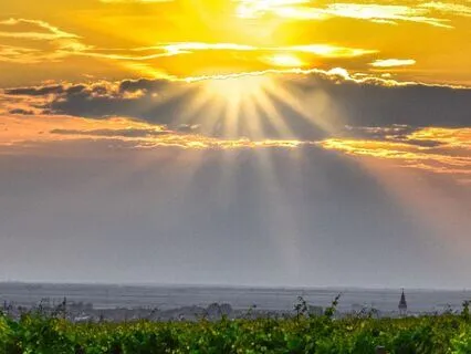 Fall Asleep To A Steam Train Journey