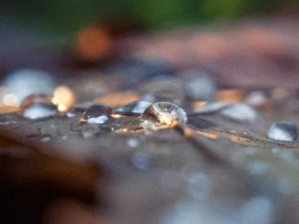 Fall Asleep To The Rain With Binaural Beats And Gentle Piano