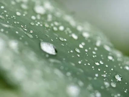 Fall Asleep To The Rain With Binaural Beats