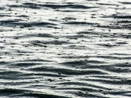 Fall Asleep To The Sound Of Rain and Waves - 8 hours