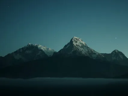 Fall Asleep While Learning About Philodendron