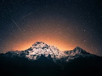 Fall Asleep While Learning About Phylogenetics