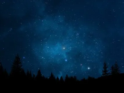 Fall Asleep While Learning About Random Facts