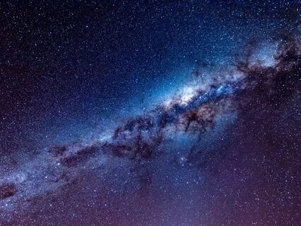 Fall Asleep While Learning About Rick & Morty