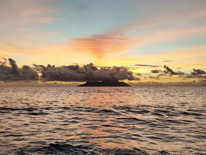 Fall Asleep While Learning About Survivor