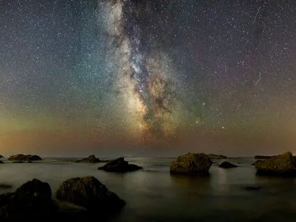 Fall Asleep While Learning About The Common Loon