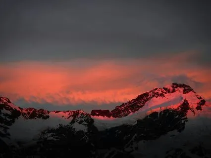 Fall Asleep While Learning About Vegemite