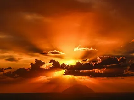 Fall Asleep While Learning About Whale Sharks