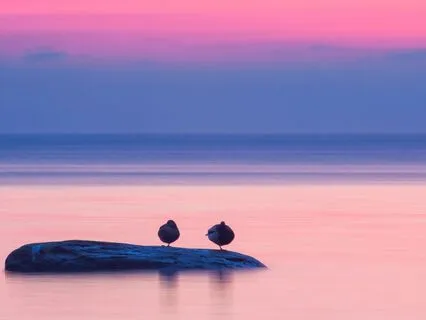 Fall Asleep With A Peaceful Heart