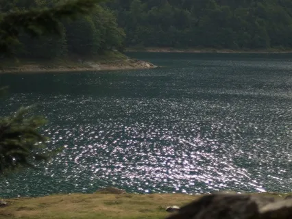 Fall Asleep With Ease (4-7-8)