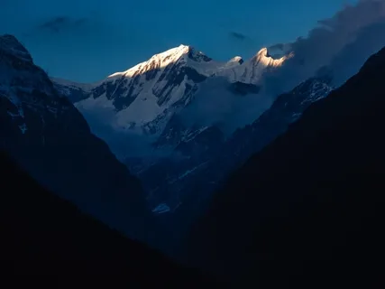 Fall Asleep With Night Ambience