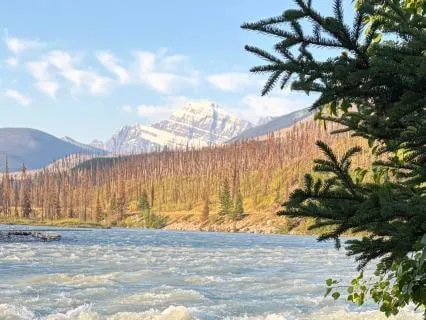 Fall Asleep With The Athabasca River