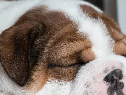 Fall Asleep Without Overthinking Tonight: Calm Mind & Sleep