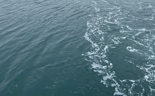 Fall Back Asleep 2.0 