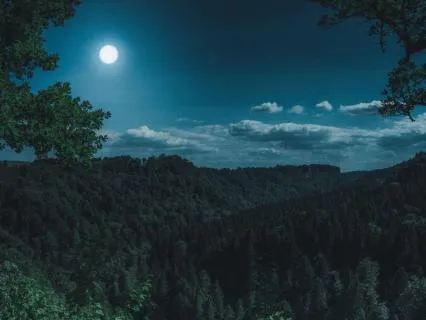 Fall Back Asleep - A Gentle Nighttime Meditation