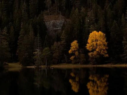 Fall Back Asleep Fast | Binaural Sound Healing