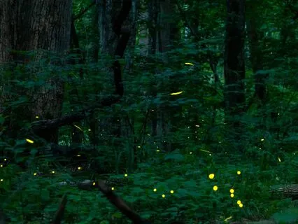 Fall Back Asleep In The Middle Of The Night - Insomnia