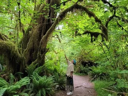 Fall Down As The Rain (Cover By Samantha Kristoferson)