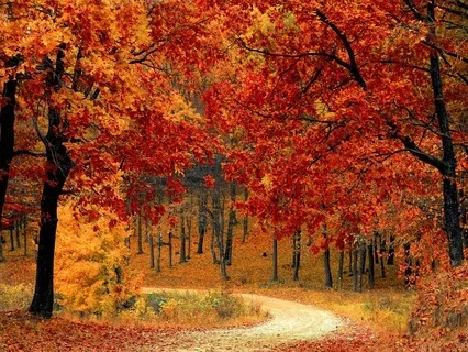 Fall Equinox (Harvests Of The Heart) Meditation