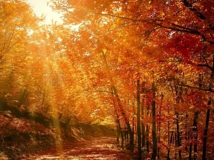 Fall Equinox Meditation
