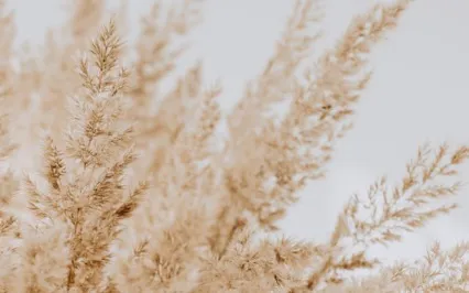 Fall Equinox Meditation