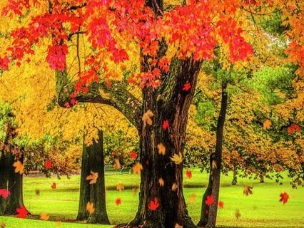 Fall Equinox Meditation II