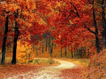 Fall Equinox Meditative Journey