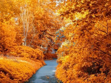 Fall Equinox – Rest, Reflect, And Gratitude