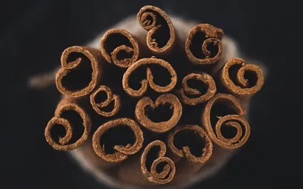 Fall Equinox Sound Meditation