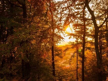 Fall Equinox Yoga Nidra To Restore Balance