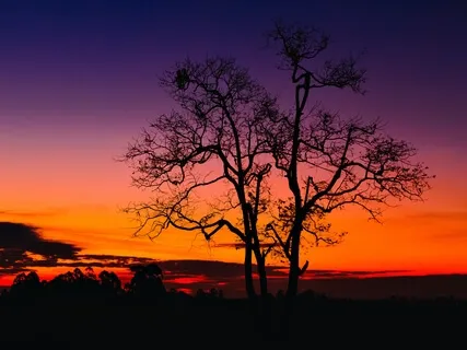 Fall Fast Asleep Delta 3.5 Hz Binaural Beats Meditation