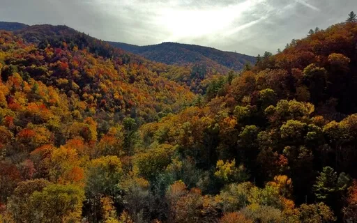 Fall In Love With Love Uplifting Meditation