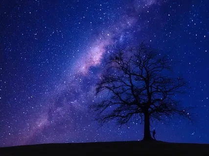 Fall Into A Deep, Restful Sleep - Evening Meditation