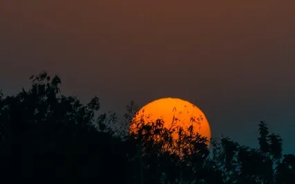 Fall Into Deep Sleep - Relax Music With Binaural Beats