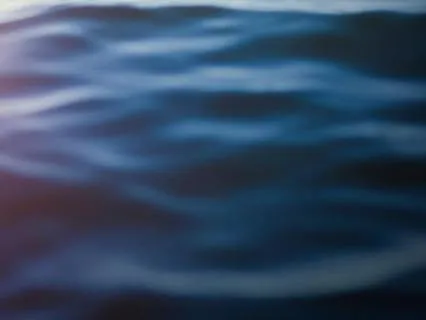 Fall Into Sleep | Zen Flow | 10 Hours