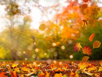 Fall Into The Autumn Equinox