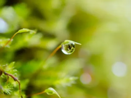 Fall Into This Moment Of Yourself