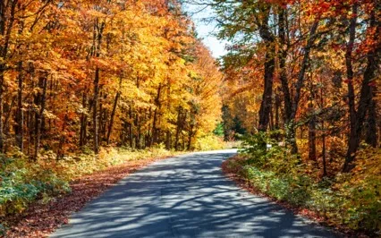 Fall Visualization For Releasing Worries