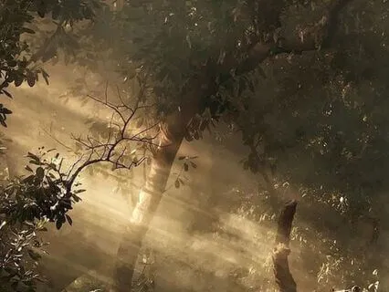 Fall Visualization Ritual: Anchor & Release