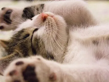 Fall Asleep Feeling Safe & Held