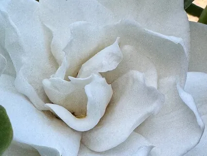 Falling Asleep Meditation - Suitable If You Have Anxiety