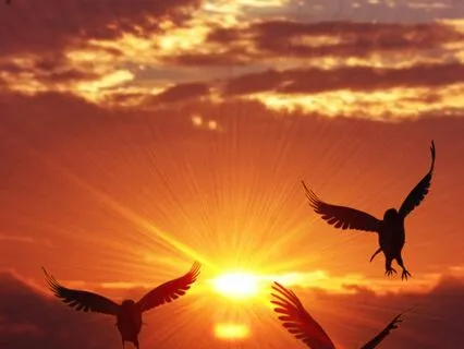 Falling Asleep Suite 4 - Flying